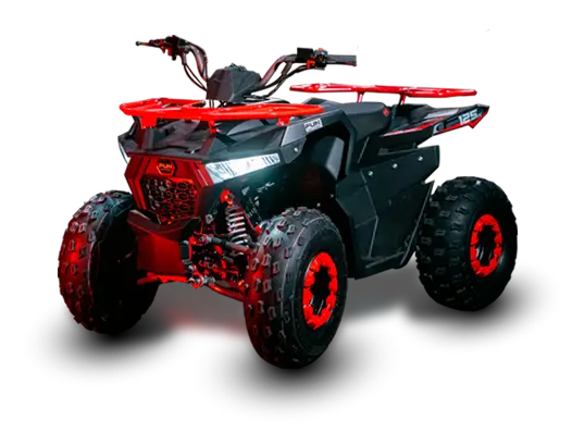 Modelo Shark 125
